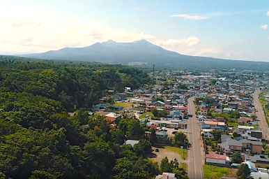 株式会社シカケのインターンシップ情報