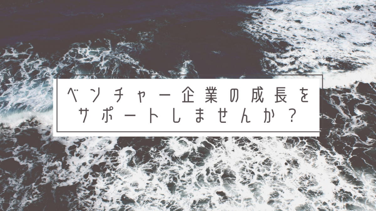 株式会社カラバオインターン情報