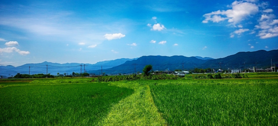 株式会社Fermentoのインターンシップ情報