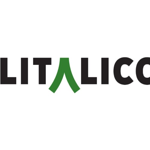 株式会社LITALICO